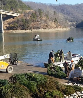 Kentucky collected about 5,000 discarded Christmas trees in 2026 instead of sending them to landfills; officials sank 1,700 in a single lake to replace lost underwater shelter for fish