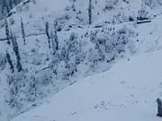 Higher reaches of Kashmir remain draped in white after fresh overnight snowfall