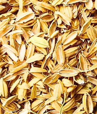 Engineers mixed rice-husk ash into asphalt; the farm waste could make roads more resistant to high-temperature damage |