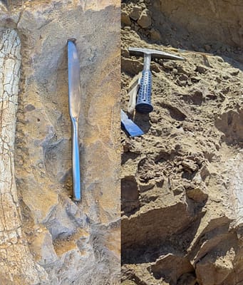 California crews digging 12 feet below an Oceanside infrastructure project uncovered limb bones, ribs and fragments that paleontologists say may belong to a ‘thunder beast’ up to 45 million years old