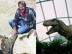 In 1987, an amateur fossil hunter found a T. rex in South Dakota; the $31.8 million skeleton now stands in Abu Dhabi