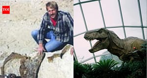 In 1987, an amateur fossil hunter found a T. rex in South Dakota; the $31.8 million skeleton now stands in Abu Dhabi