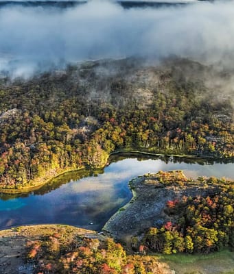 In 2004, Kris Tompkins’ conservation organisation acquired a 174,500-acre Chilean ranch and began restoring its grasslands and wildlife; in 2018 the ranch became part of a national park within a wider conservation effort that has helped protect nearly 15 million acres