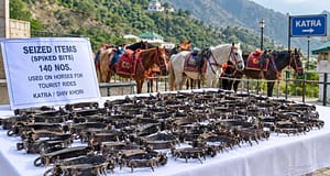 Jammu: 140 spiked bits used on horses for tourist rides in Katra, Shiv Khori seized