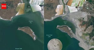 Falling water levels at Utah’s Great Salt Lake exposed mysterious circular mounds; freshwater springs beneath them may supply up to 12% of the lake’s water budget |