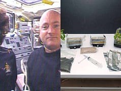 NASA sent 10 million cinnamon basil seeds into orbit aboard Endeavour in 2007; the project brought space-flown seeds into classrooms and helped nearly 1 million students test plant-growing designs