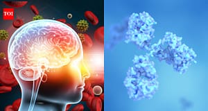 Northwestern scientists studying proteins linked to Alzheimer’s found a single spot that helps harmful tau clumps spread; blocking that hotspot with a chemical tag stopped the clumps from growing in lab tests