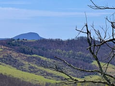 Virginia has acquired 2,211 acres around Buffalo Mountain to create a new conservation area, protecting nearly 14 miles of native trout streams and expanding a landscape already drawing 15,000 visitors a year