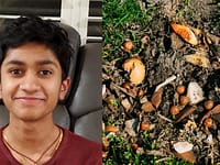 Teenager tests cow, chicken, fish and bat manure and finds that cow fertiliser holds the richest mix of antibiotic-resistant bacteria |