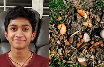 Teenager tests cow, chicken, fish and bat manure and finds that cow fertiliser holds the richest mix of antibiotic-resistant bacteria |