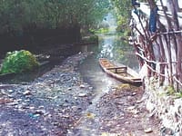 NLCO raises alarm over rapid decline of Anchar Lake