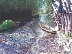 NLCO raises alarm over rapid decline of Anchar Lake
