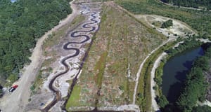 Massachusetts restores cranberry bog to protect rare trout that moves between river and ocean