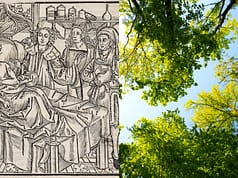 Europe’s plant diversity fell after the Black Death as farmland was abandoned; analysis of 109 fossil pollen records shows it recovered as cultivation returned |