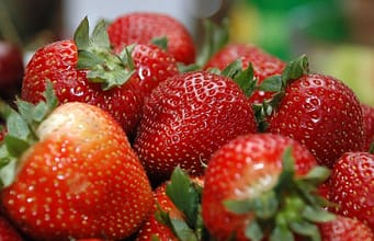 A fabric developed from military clothing research was placed over strawberry plants; field tests produced 3.56 times more fruit |