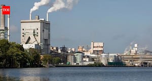 After more than 50 years of pulp-mill pollution, regulators have proposed restoring North Carolina’s Roanoke River, including contaminated floodplain habitat damaged by toxic discharges
