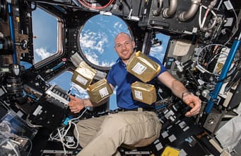 In 1984, NASA sent 12.5 million tomato seeds to space; in 1990 they had to be brought back to Earth and were planted across 40,000 schools in 40 countries