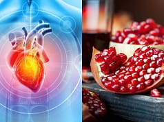 A compound produced after eating pomegranates, walnuts and berries improved heart function by up to 80% in animal tests; researchers say it helped stiff heart tissue relax and reduced scarring