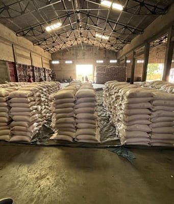 DRI busts illegal import of over 73,00,000 kg of Pakistan-origin rock salt; 4 arrested