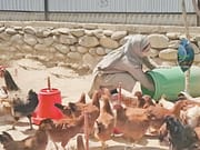 Starting small, growing strong: Abida builds livelihood through poultry