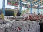 ‘J&K’s horticulture sector supports livelihoods of nearly 35 lakh people’