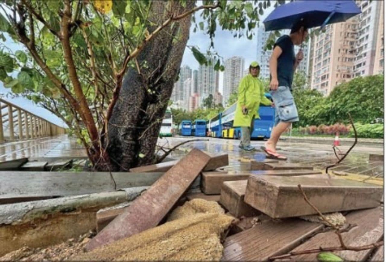 10 killed in flash floods in China as Typhoon Noul makes landfall 10 killed in flash floods in China as Typhoon Noul makes landfall